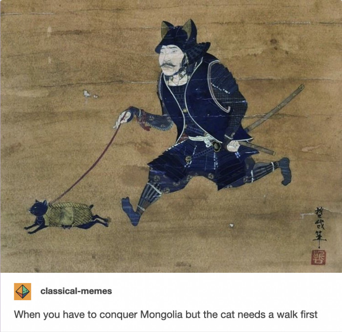 13. The cat is the real emperor