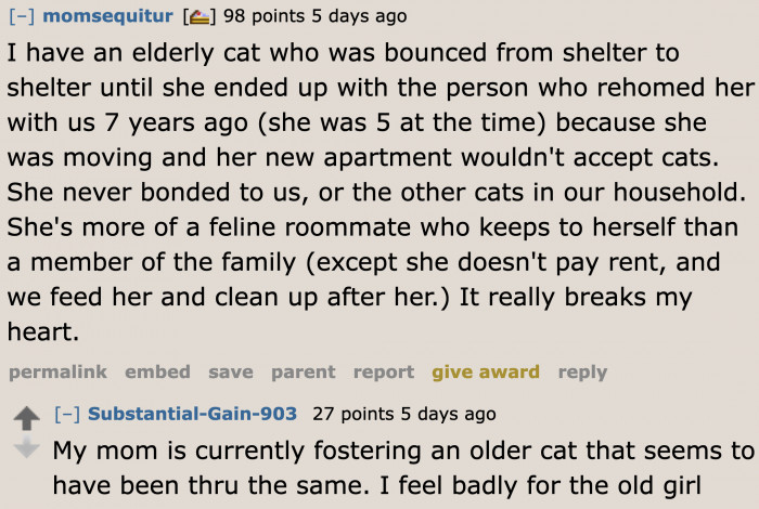 Pet Owner Consults Reddit About Her Boyfriend Who Wants To Rehome Her Pet Owner Consults Reddit About Her Boyfriend Who Wants To Rehome Her