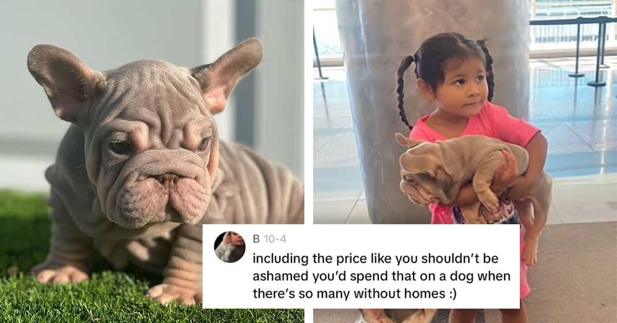 Vets Weigh In After Mom Gets Blasted Online For Spending $10,000 On A Controversial Dog Breed
