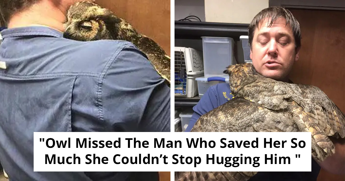 Rescued Owl Shows Gratitude Through Endless Hugs For Her Lifesaver