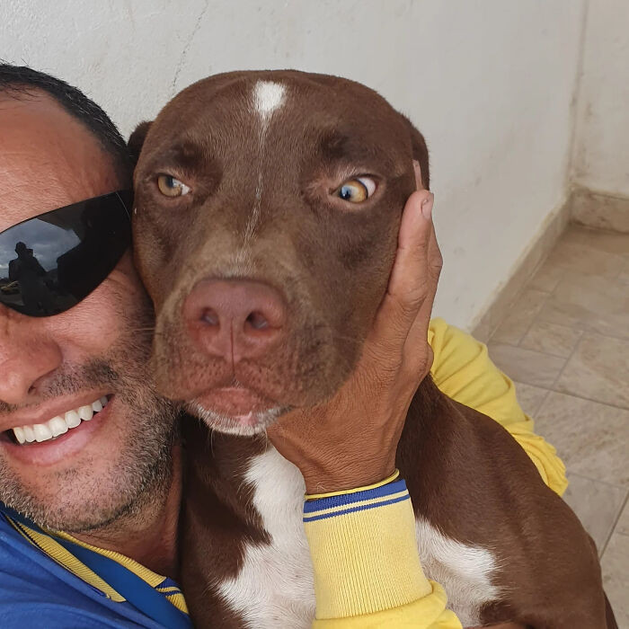 20. “When you try to look tough but your favorite human shows up.”