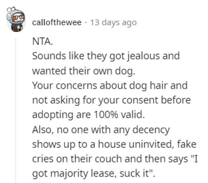 Redditor Feels Disrespected After Their Roommates Adopted A Puppy ...