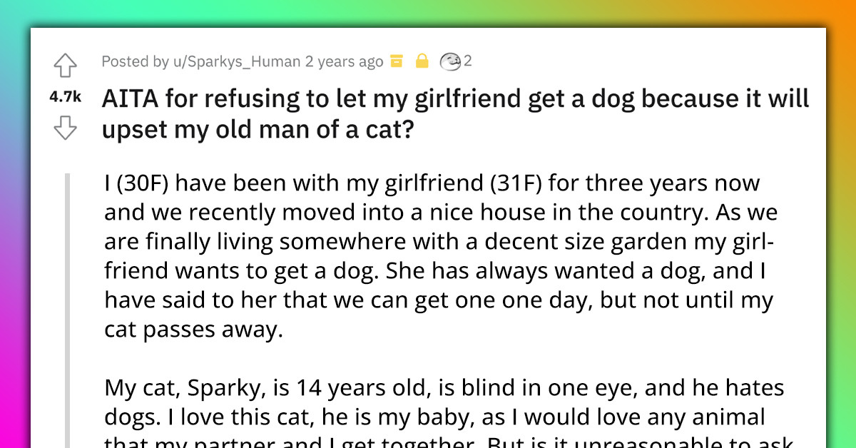 Redditor Refuses To Let His GF Get A Dog Because His Senior Cat Has Always Hated Them