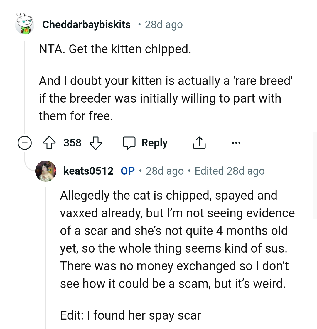 Woman Refuses To Return Kitten She Got For Free From Breeder, Seeks