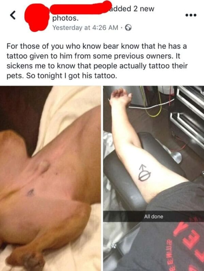 24. Getting the dog's tattoo