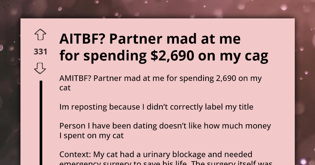 Financially Controlling Boyfriend Gets Mad At Girlfriend For Using Her Education Money On Expensive Cat Surgery