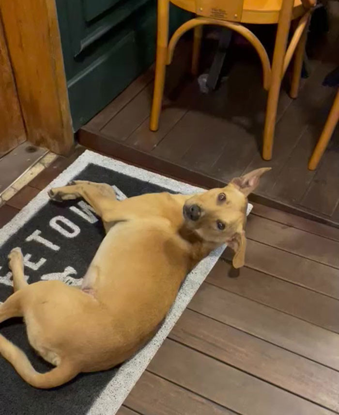 Once they finally adopted him, he stayed in the bride’s mother’s house as the couple had to have their honeymoon