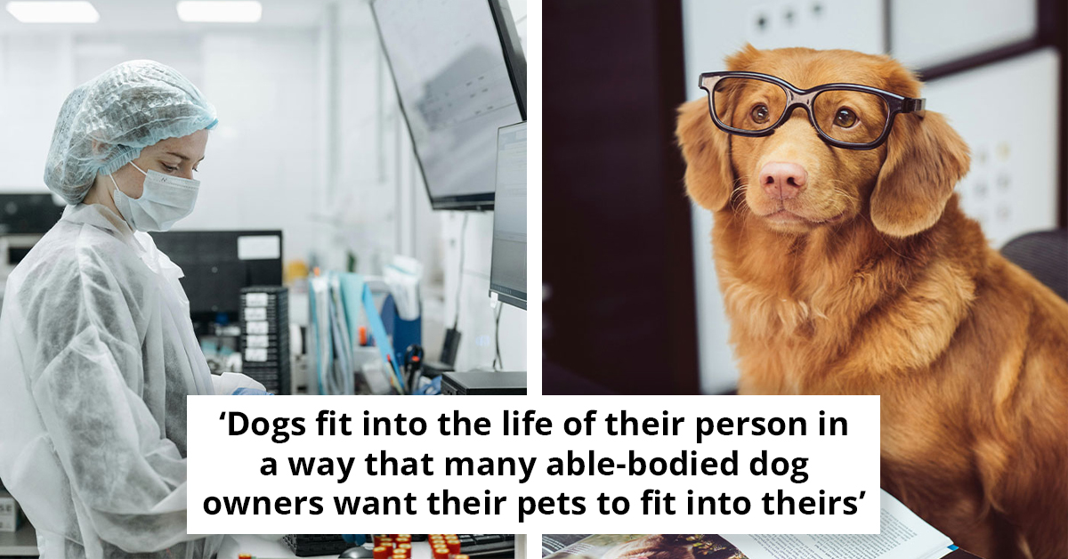 Our Dogs Are Changing—Scientists Reveal Modern Human Influence Could Be Changing Dog Evolution