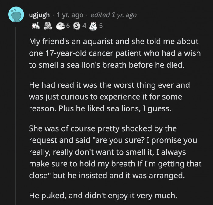 4. If an expert tells you that you won't enjoy smelling a sea creature's breath, you better listen but I guess his wish lived up to his expectations