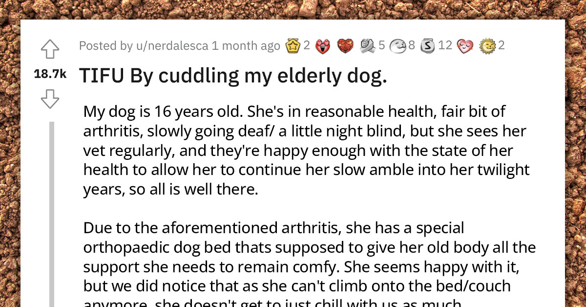 OP Shares How Their Elderly Dog Peed While Cuddling, And The Redditors