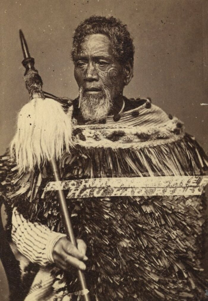 Maori Chief Holding A Taiaha