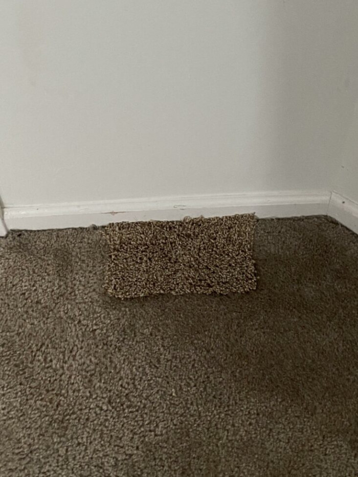 4. Just moved into a new home and found where the landlord patched the carpet