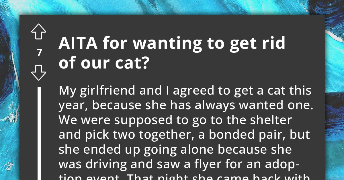 Man Frustrated With Girlfriend's Adoption Of Badly Behaved, High-Needs ...