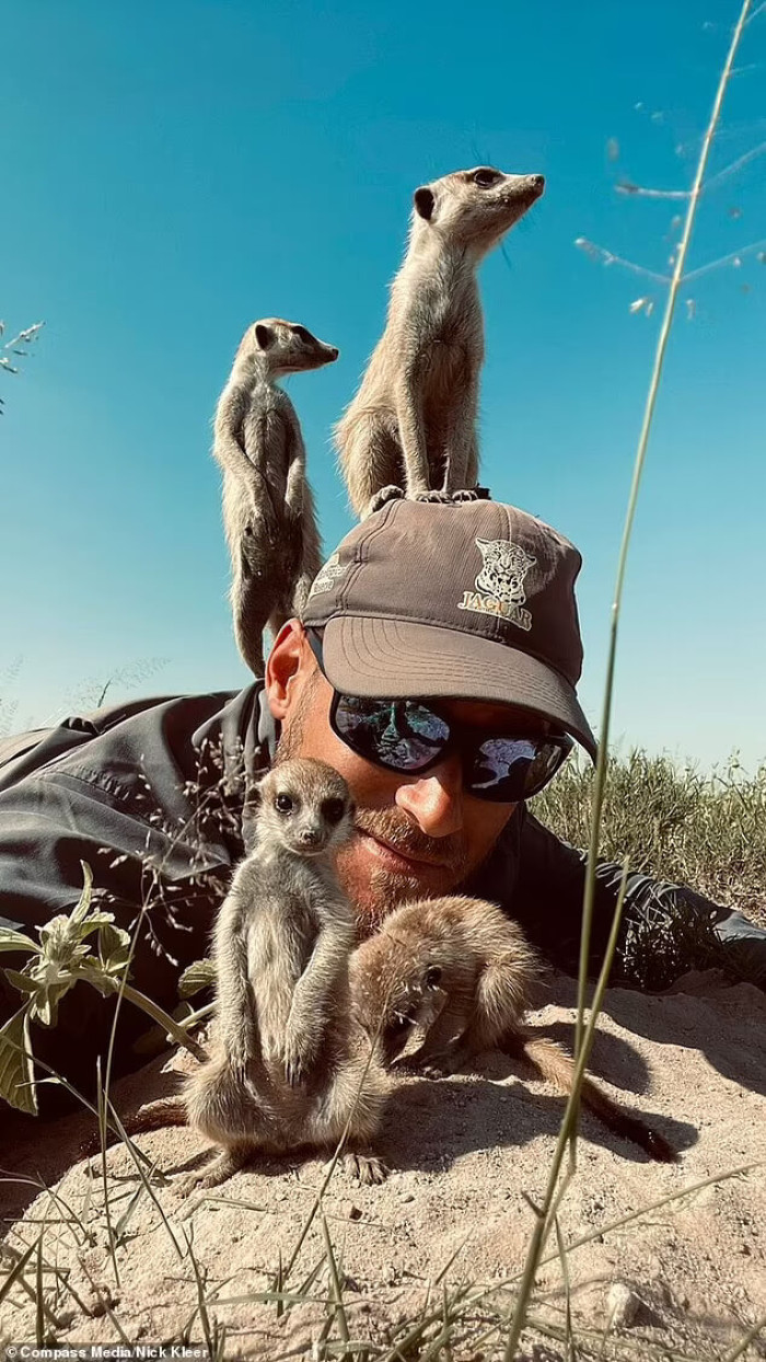 A photographer appears to have made an unbreakable bond with a group of charming and entertaining meerkats