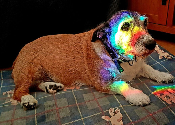 27. My 16 Year Old Boy Woke Up In A Rainbow