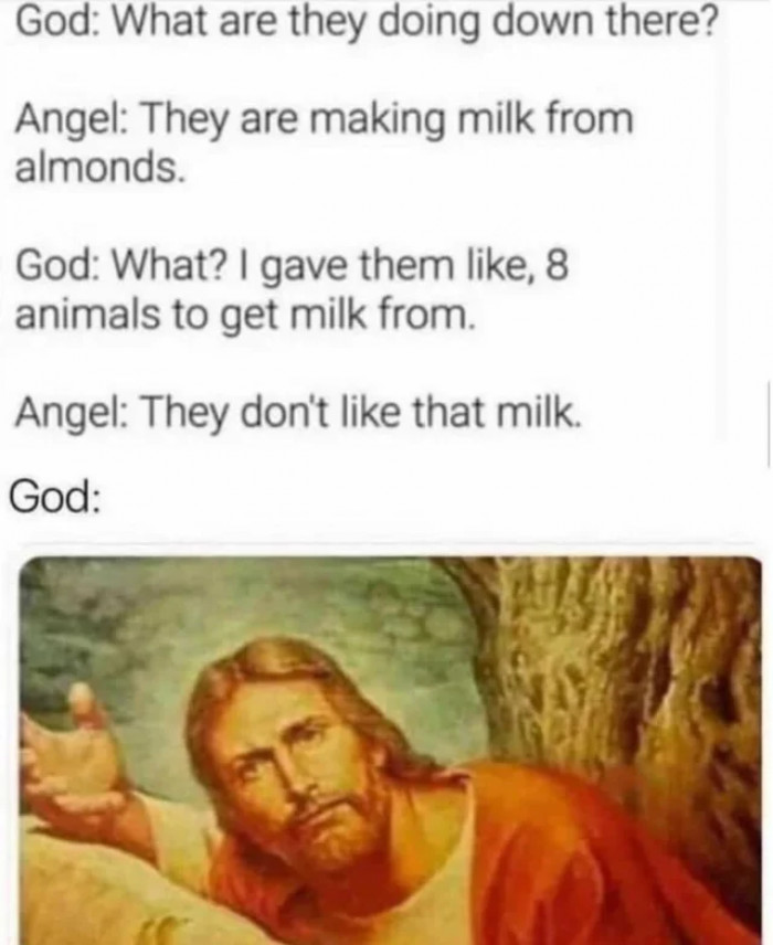 14. Well, if someone wasn't having too much fun creating the platypus then someone would have created more humans who can tolerate lactose