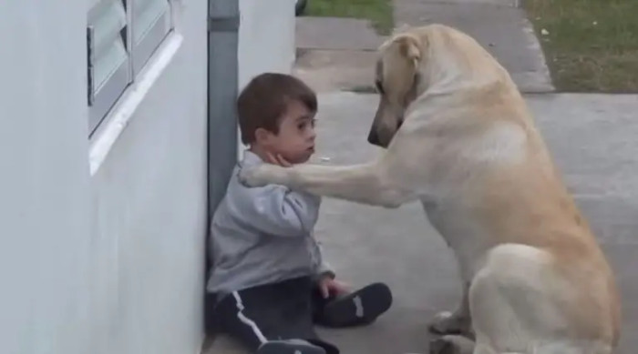Heartwarming scene