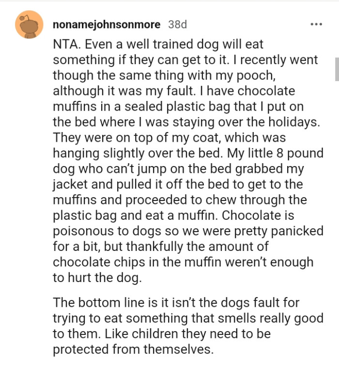 Chocolates are poisonous to dogs