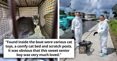 Adorable Moment When Captain Jack, The Cat, Was Rescued From A Sailboat After His Owner Died A Week Before