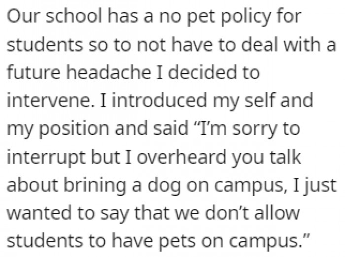 OP overheard a parent talking to their child about bringing a dog to campus since they saw OP with their dog