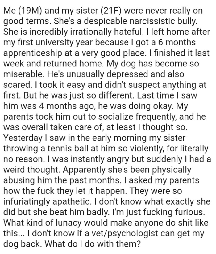 OP's parents took his dog out to socialize frequently, and he was overall taken care of, or so the OP thought