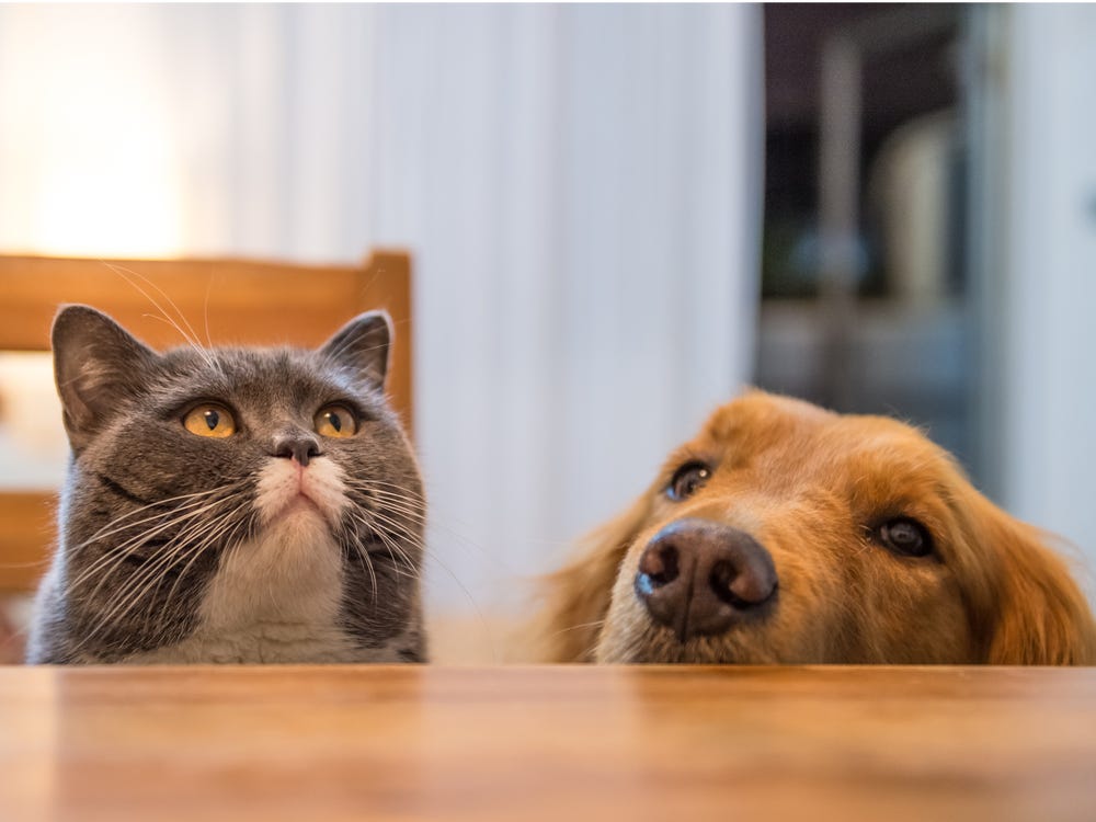 16. Partners in Crime