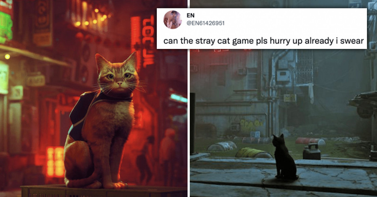 Cat Lovers Respond To Stray, A Game That Has You Feel And Explore A Futuristic World Devoid Of Humans As A Cat