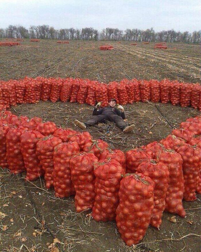 10. When you love tomatoes