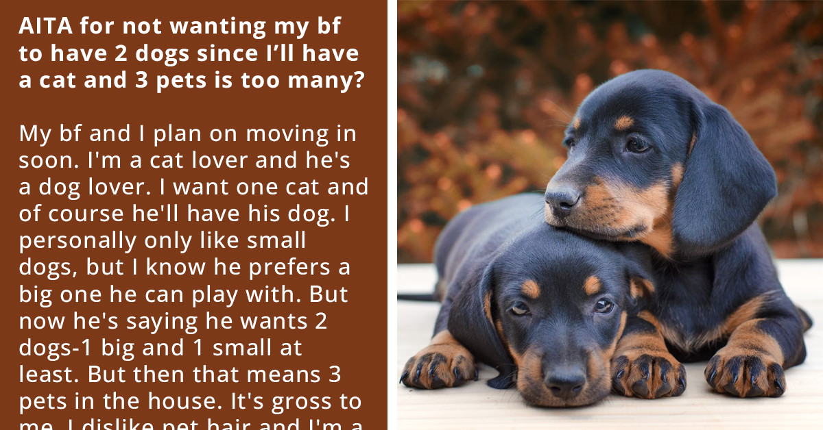 Redditor Plans To Move In With Her BF And Wants Him To Get Only One Dog