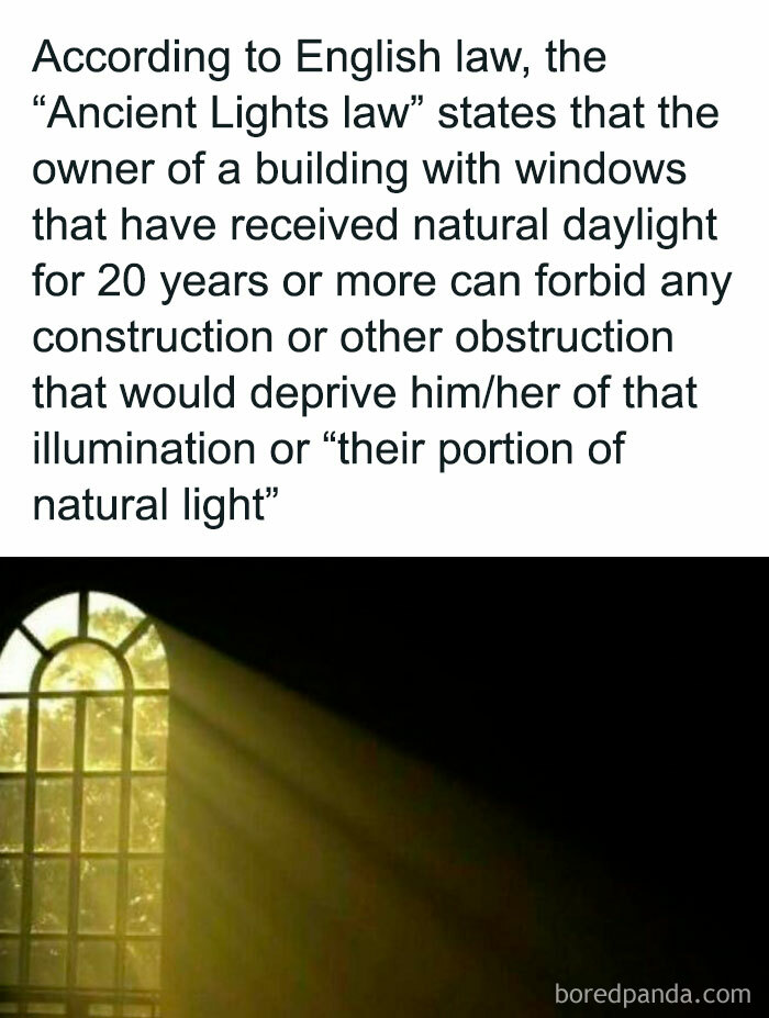 23. Getting your portion of natural light