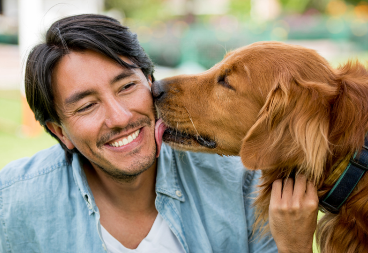 Dogs, like kids, explore with their mouths. So, licking you means they're trying to get to know you.