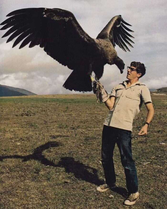 18. In 1971, ornithologist Jerry McGahan is captured holding a 6-month-old Andean Condor