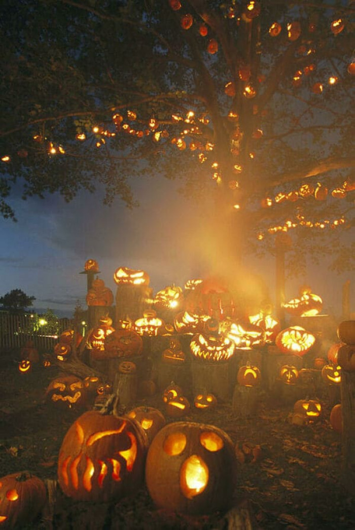 This is the ultimate jack-o-lantern decorated home.