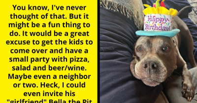 People Share Their Views On Inviting People To Dog's Birthday Party