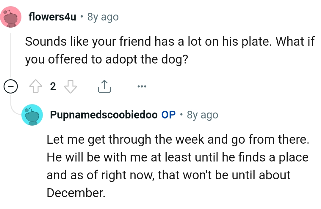 Offering to adopt the dog