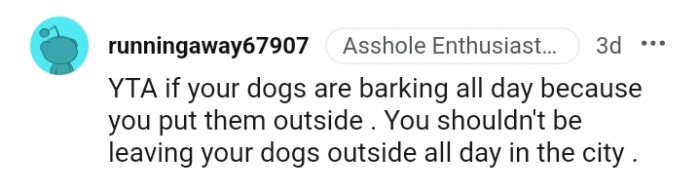 2. You should not be leaving your dogs outside
