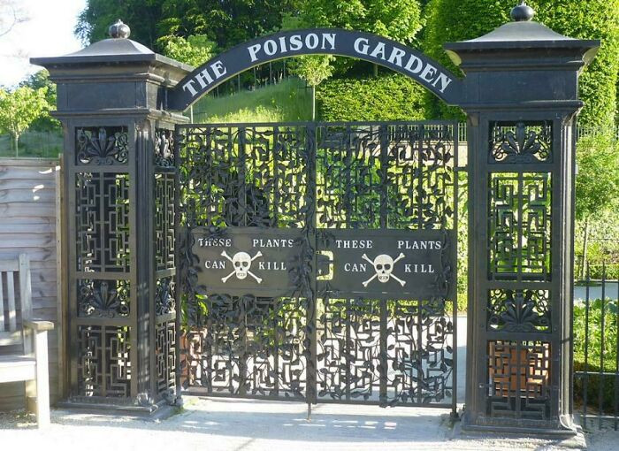 30. The Poison Garden (Alnwick Garden) That Contains About A Hundred Plants That Can Actually Kill A Person