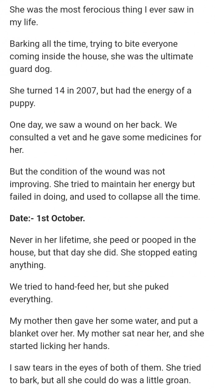 Emotional Thread Has People Telling Stories Of What Their Dogs Did When ...
