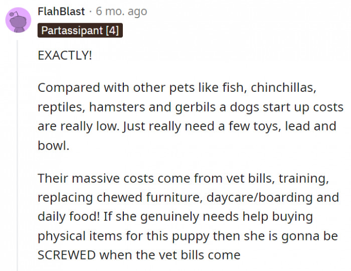 19. It's not Jen who's going to be in trouble when there comes a need for a vet, it's the poor puppy