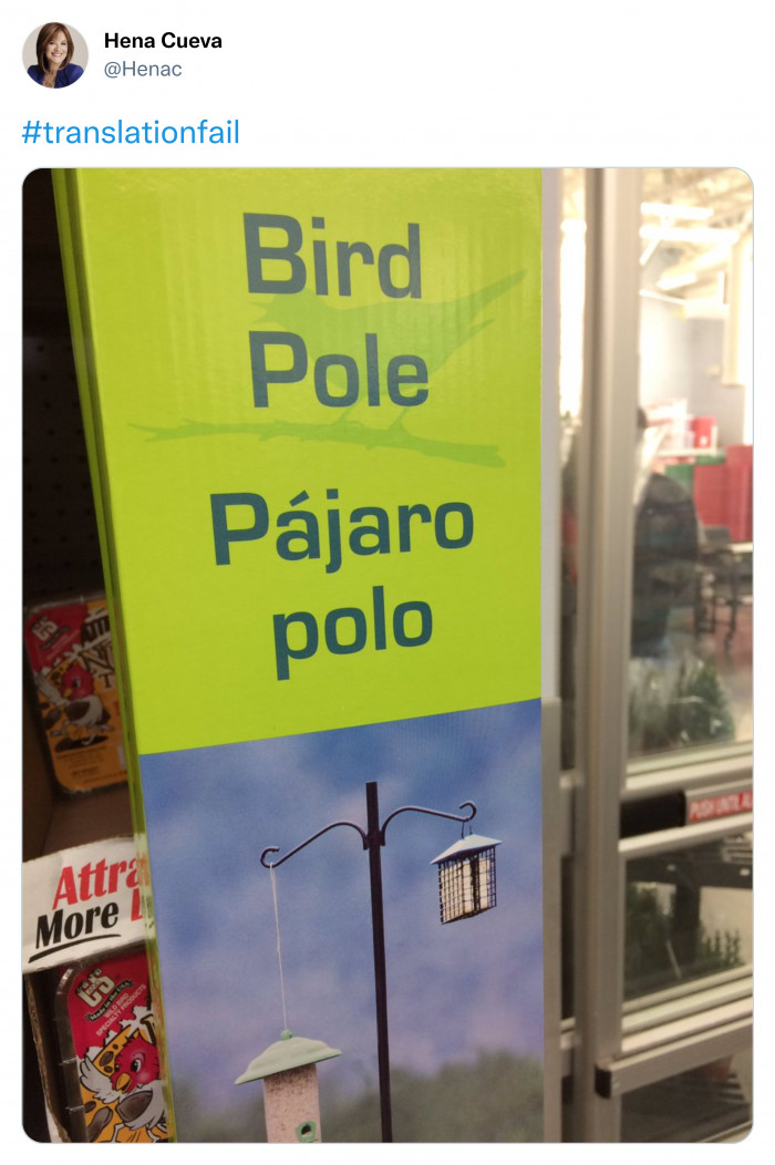 11. Pole in Spanish is either 