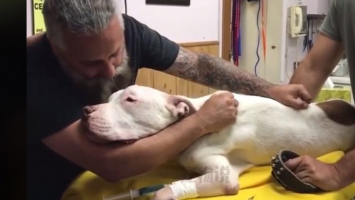This tough-looking man moved a lot of hearts, when a footage of his last moment with his dog was uploaded online. He had to say goodbye to his pet that has been with him for over a decade.