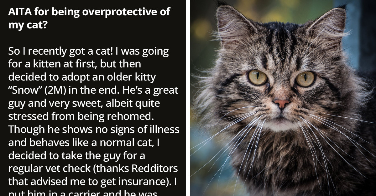 Pet Owner Wonders If She Was Wrong For Causing Unnecessary Fuss At The Vet By Telling Other Pet Owners To Keep Their Dogs Away From Her Scared Cat