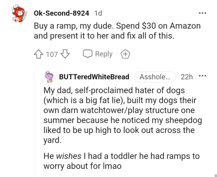 This Redditor is suggesting for the OP to buy a proper ramp