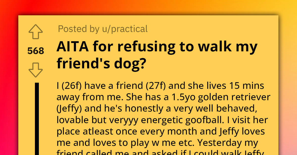 Redditor Refuses To Walk Friend's Energetic Dog Without A Leash, Gets Called "Animal Abuser"