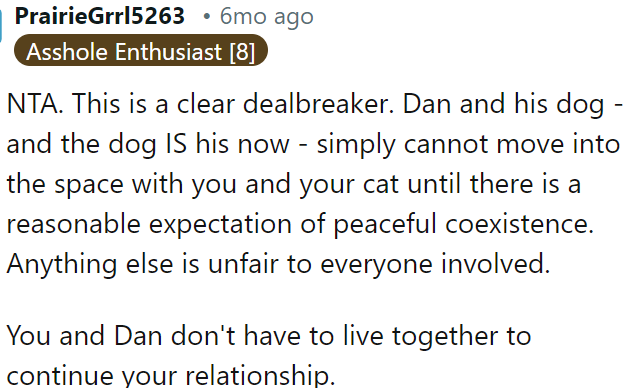 Living together with Dan and his dog isn't feasible until there's a peaceful coexistence plan with OP's cat.