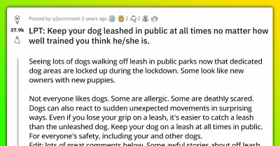 Reddit Thread Shows How Important It Is To Leash Dogs In Public, No Matter How Well Trained They Are