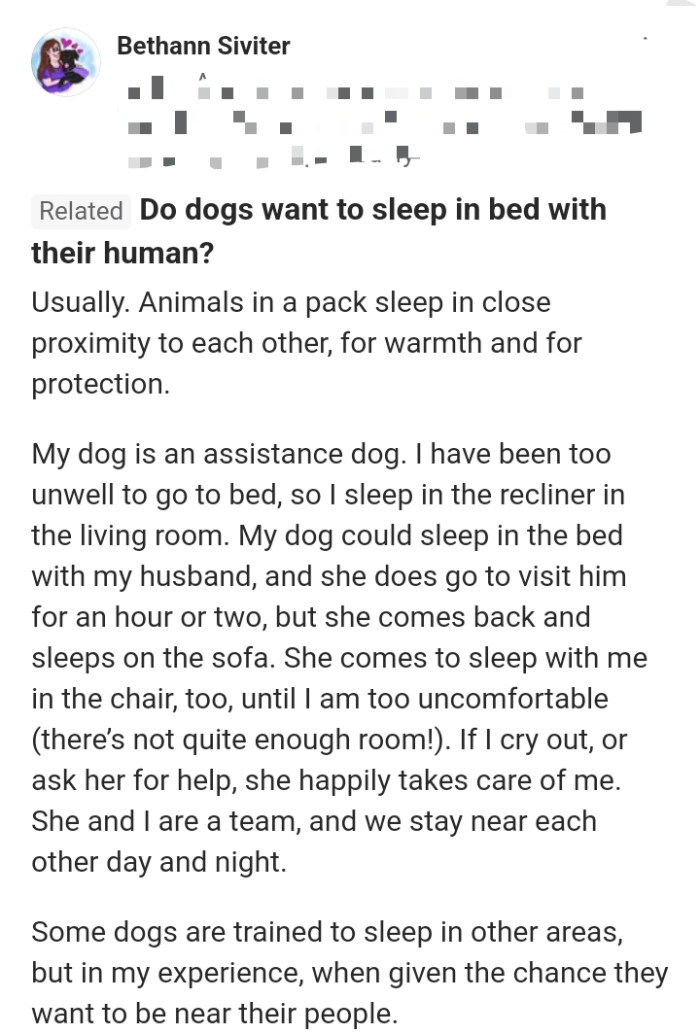 12. This commenter has a dog who sleeps with them