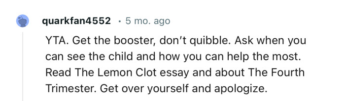 “YTA. Get the booster, don’t quibble. Ask when you can see the child and how you can help the most.”