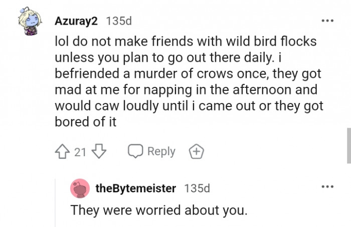 Do not make friends with a wild bird flock