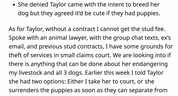 OP's ex said Taylor didn't go there to breed his dog but she did admit to talking about their adorable puppies if it happened